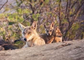 FB_IMG_1707144674130